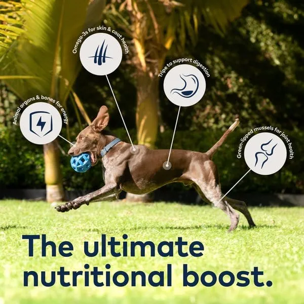 ZIWI Peak Grain Free Lamb Recipe Canned Dog Food