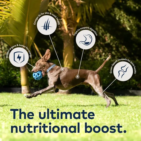 ZIWI Peak Grain Free Lamb Recipe Canned Dog Food