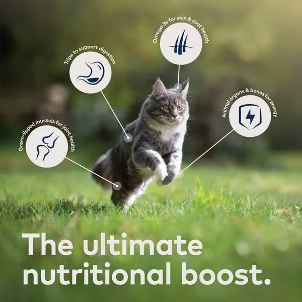 ZIWI Peak Grain Free Rabbit & Lamb Recipe Canned Cat Food