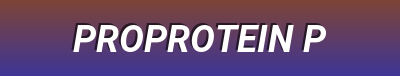 High-Protein Cat Food - Ancestral Nutrition for Modern Felines